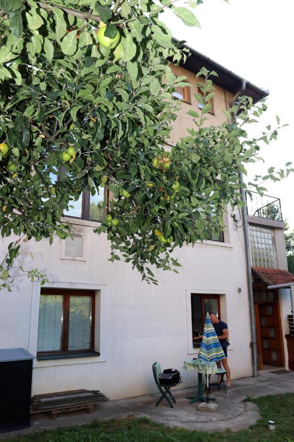 Vila Rijad Sarajevo Bagian luar foto